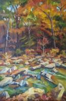 Landscapes - Stepping Stones - Oil On Canvas