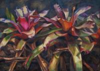 Botanicals - Bromeliad Blush - Oil On Canvas