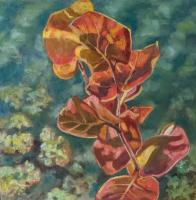 Botanicals - Red Seagrapes - Oil On Canvas