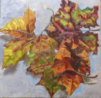 Botanicals - Sycamore Autumn Leaves - Oil On Canvas