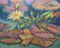 Botanicals - White Lotus - Oil On Canvas