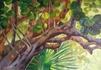 Botanicals - Seagrapes Tree - Oil On Canvas