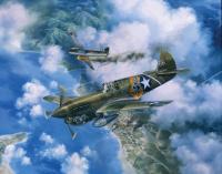 One Off At Darwin - P-40E Warhawk 49Th Fighter Group - Oil On Canvas Paintings - By Randy Green, Realism Painting Artist