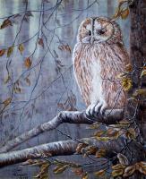 Wise Old Owl - Acrylic On Canvas Paintings - By Judy Kirouac, Realism Painting Artist