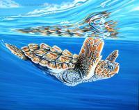 First Dive - Acrylic On Canvas Board Paintings - By Jane Girardot, Realism Painting Artist