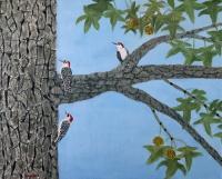 Woodpeckers On Sweet Gum Tree - Oil On Canvas Paintings - By Leslie Dannenberg, Realism Painting Artist