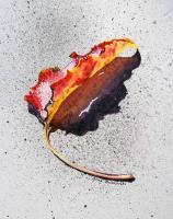 Leaf On Fire - Watercolor Paintings - By Artist Irina Sztukowski, Realism Painting Artist
