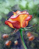 Morning Rose - Watercolor Paintings - By Artist Irina Sztukowski, Realism Painting Artist