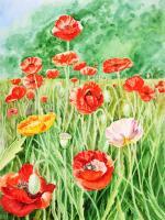 Landscape With Poppy Field - Watercolor Paintings - By Artist Irina Sztukowski, Realism Painting Artist