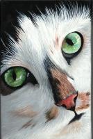 Funny Face - Acrylic Paintings - By Diane Deason, Realistic Painting Artist