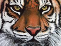 Jungle Knight - Acrylic Paintings - By Diane Deason, Realistic Painting Artist